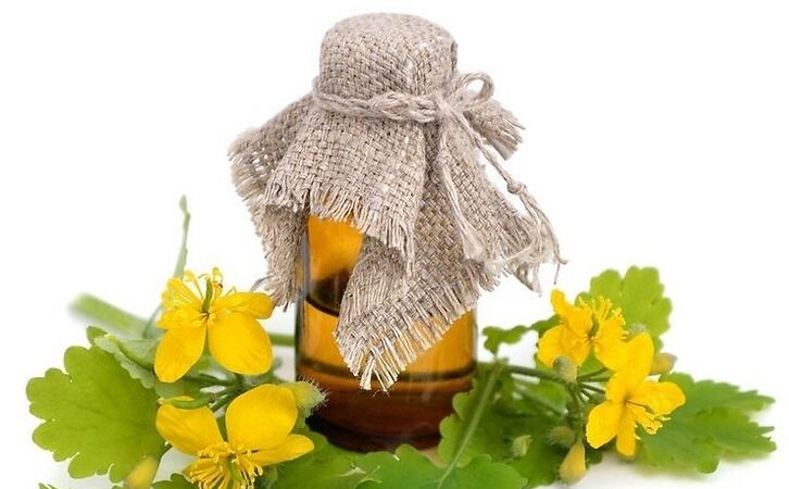 Celandine juice for home treatment of fungal infection on feet
